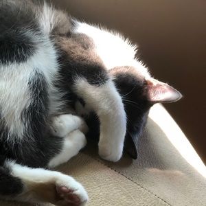 Meet your Posher, Emily